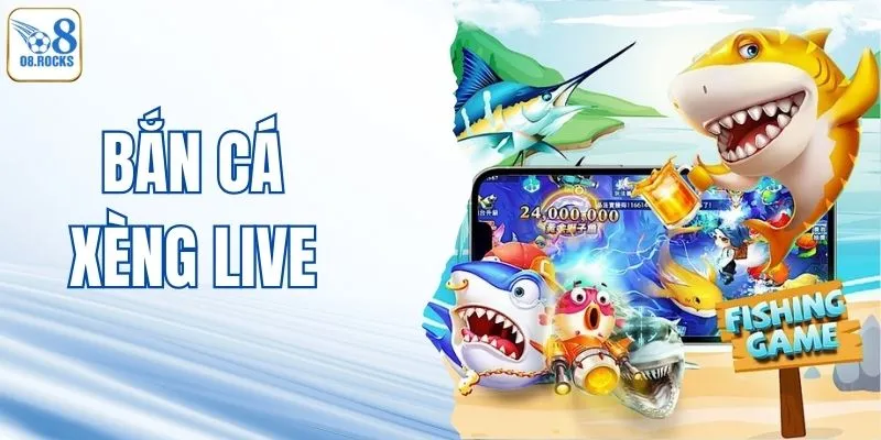 Bắn Cá Xèng Live - Chơi Trực Tiếp, Cược Cực Đã Tại O8